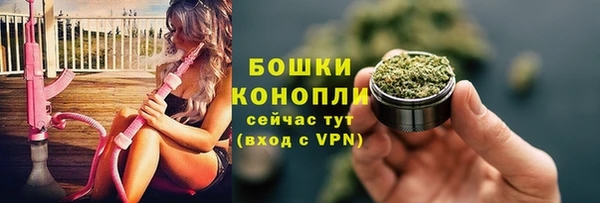 таблы Болотное