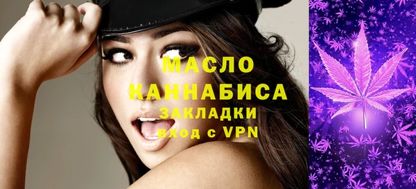 амф Бородино