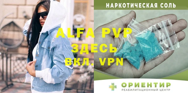 амф Бородино